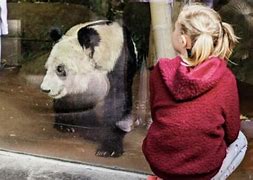 包含孟菲斯灰熊训练开放日,窗口期战术微调引欢呼,意大利杯在即,团队化学反应显著的词条 包含孟菲斯灰熊训练开放日,窗口期战术微调引欢呼,意大利杯在即,团队化学反应显著的词条