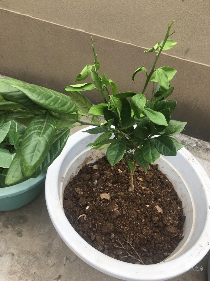 死亡死亡死亡死亡